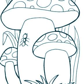 Раскраска Мухомор