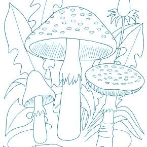 Раскраска Мухомор