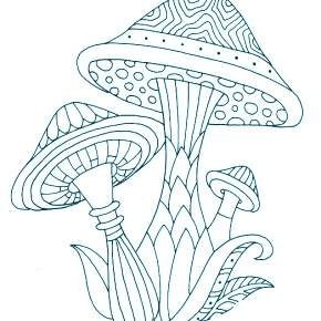 Раскраска Мухомор
