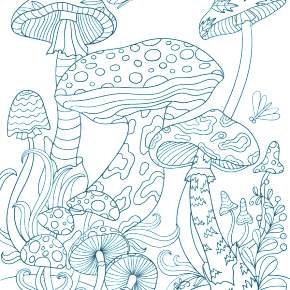 Раскраска Мухомор