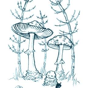 Раскраска Мухомор
