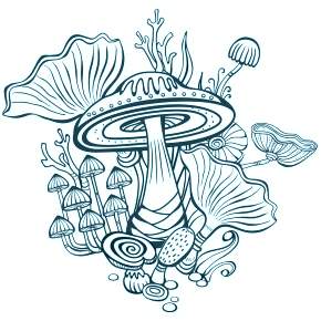 Раскраска Мухомор