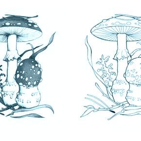 Раскраска Мухомор