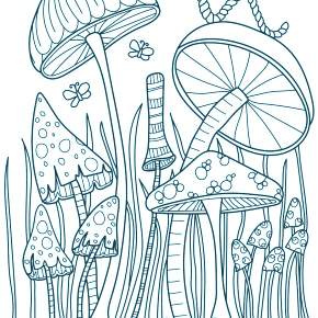 Раскраска Мухомор