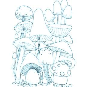 Раскраска Мухомор