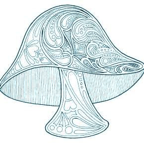 Раскраска Мухомор