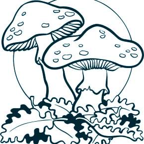 Раскраска Мухомор