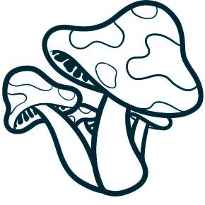 Раскраска Мухомор