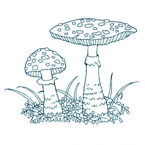 Раскраска Мухомор