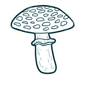 Раскраска Мухомор