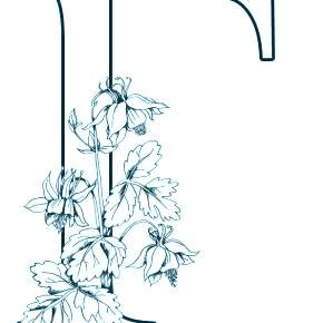 Раскраска  Буквы