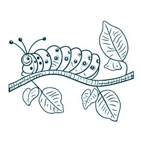 Раскраски Гусеница