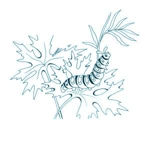 Раскраски Гусеница
