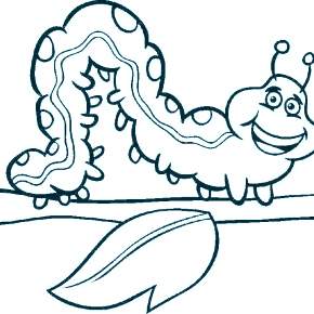 Раскраски Гусеница