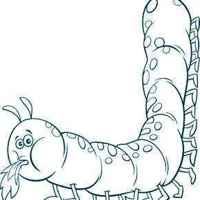 Раскраски Гусеница