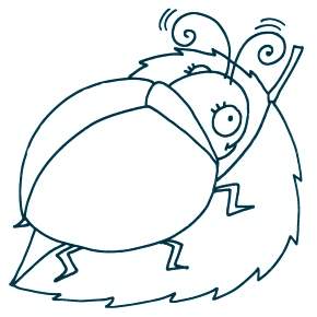 Раскраски Жуки