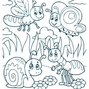 Раскраски Жуки