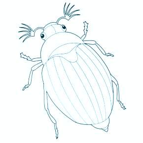 Раскраски Жуки