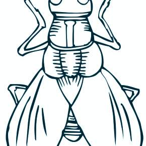 Раскраски Жуки