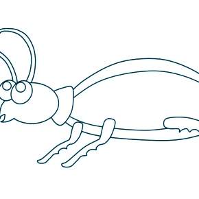 Раскраски Жуки