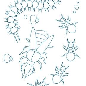 Раскраски Жуки