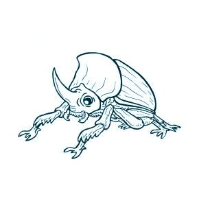 Раскраски Жуки