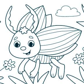 Раскраски Жуки