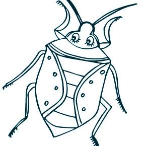 Раскраски Жуки