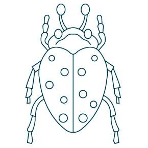 Раскраски Жуки