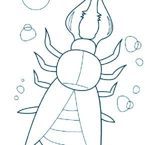 Раскраски Жуки