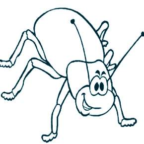 Раскраски Жуки