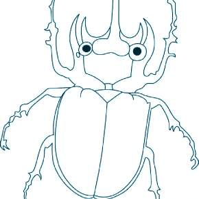 Раскраски Жуки