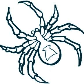 Раскраски Жуки