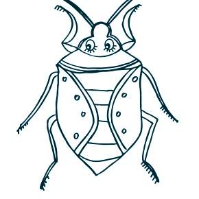 Раскраски Жуки