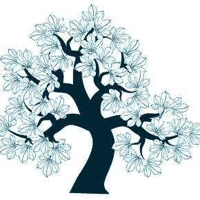 Раскраска цветущие деревья