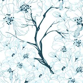 Раскраска цветущие деревья