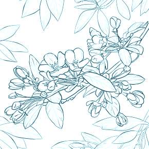 Раскраска цветущие деревья