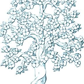 Раскраска цветущие деревья