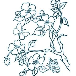 Раскраска цветущие деревья