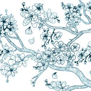 Раскраска цветущие деревья