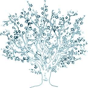 Раскраска цветущие деревья