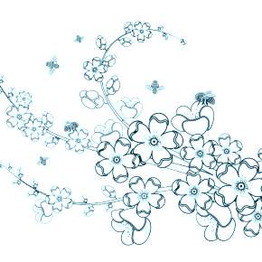 Раскраска цветущие деревья