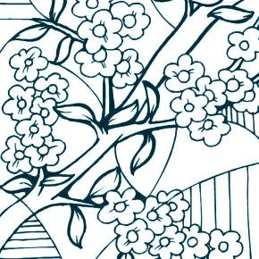 Раскраска цветущие деревья