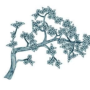 Раскраска цветущие деревья