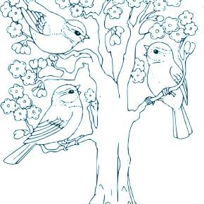 Раскраска цветущие деревья