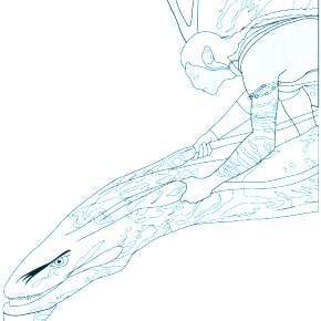 Раскраски Аватар