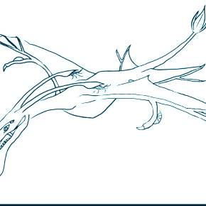 Раскраски Аватар