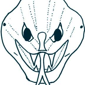 Раскраска новогодние маски