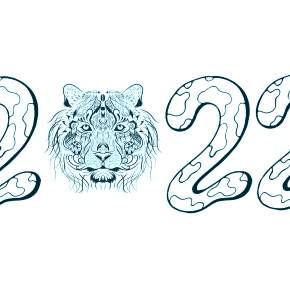Раскраски Тигров на Новый год Раскраски Тигров на Новый год