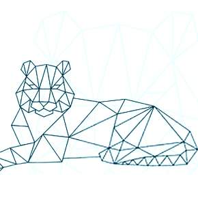 Раскраски Тигров на Новый год Раскраски Тигров на Новый год